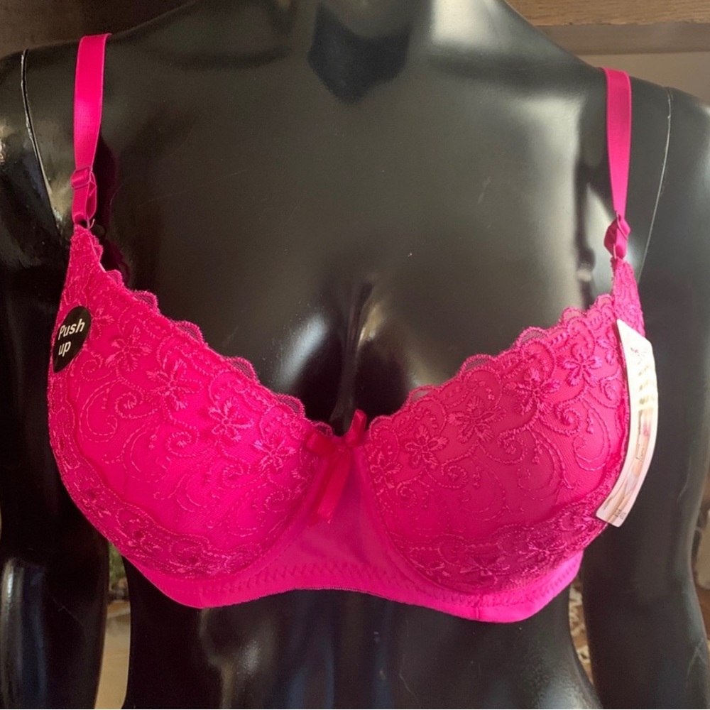 “L.S.” Fuchsia Lacey Bra NWT  40D